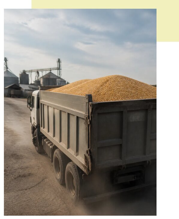 Перевозка сельхозпродукции навалом в Дзержинск по цене от 3050 р. | Агросервис-Дзр